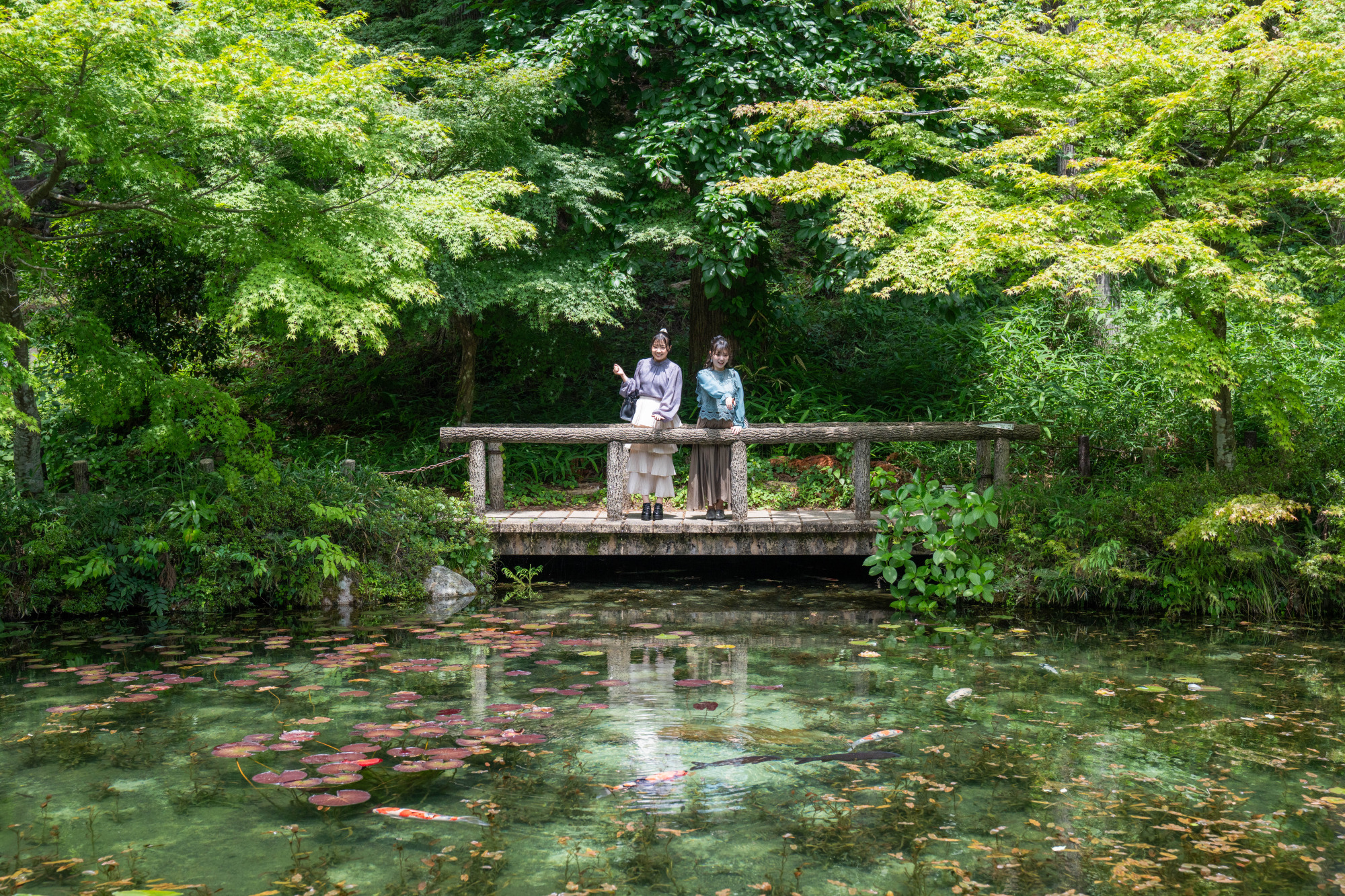 【まるで絵画の世界】岐阜「モネの池」徹底レビュー!絶景の見頃&写真撮影のコツ、アクセスから周辺観光スポット紹介まで