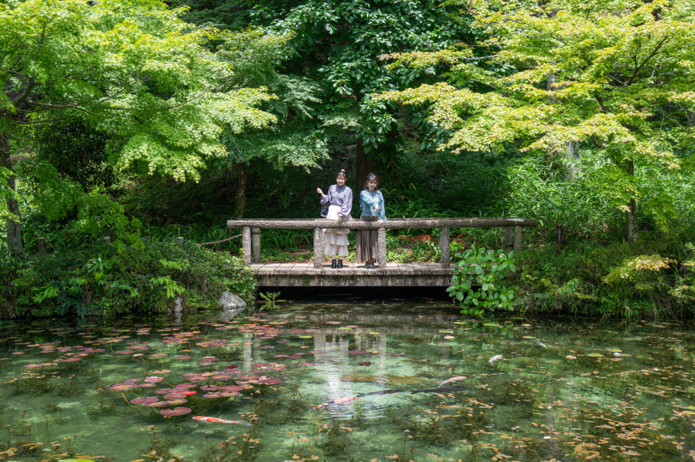 「モネの池」徹底レビュー!見頃&撮影のコツ、アクセスから周辺観光スポット紹介まで