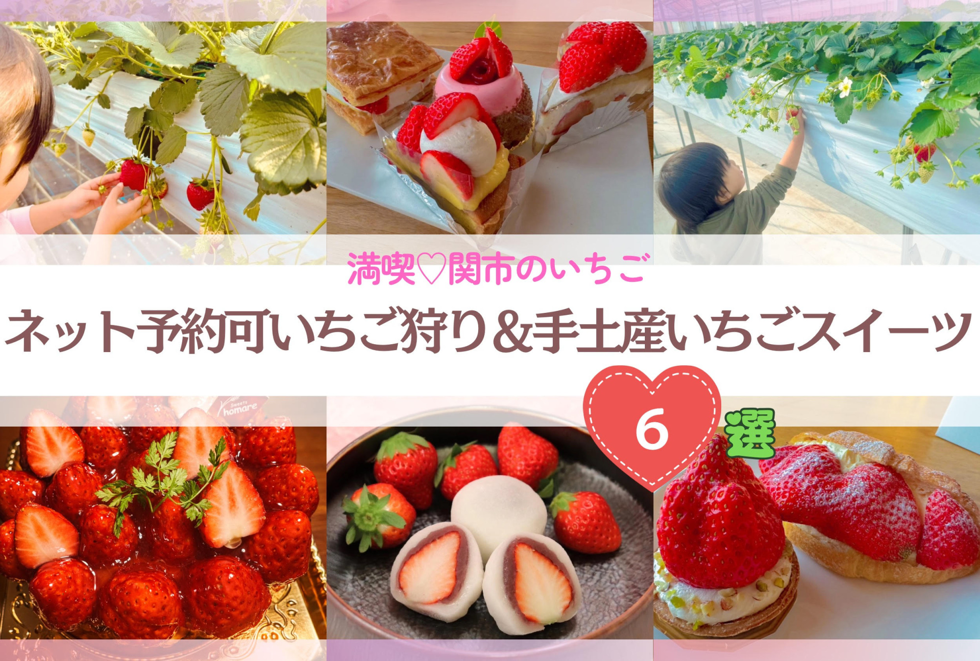 【関市のいちご】ネット予約可!いちご狩り&手土産いちごスイーツ6選