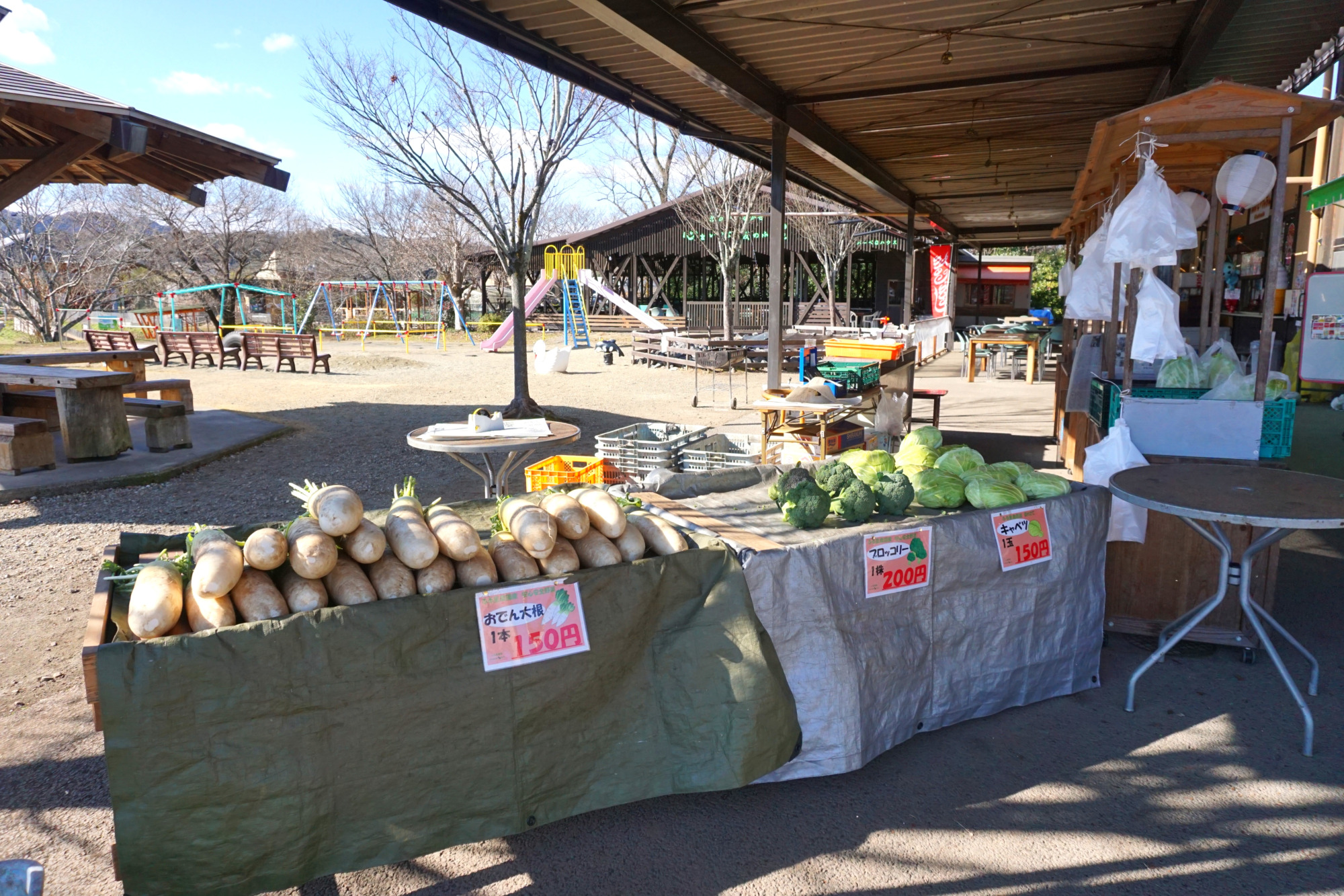 体験・グルメ・買い物まで楽しめる!「ふる里農園 美の関」まるわかりガイド