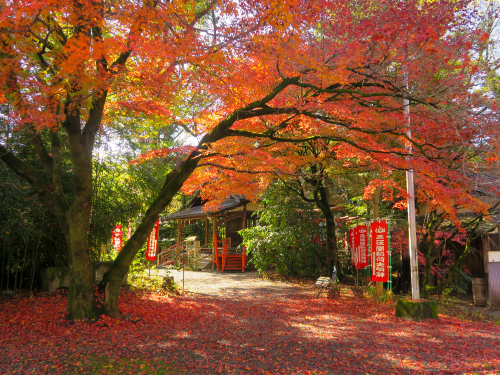 関市で楽しむ秋の紅葉|渓谷から神社、街なかまでおすすめ紅葉スポット7選